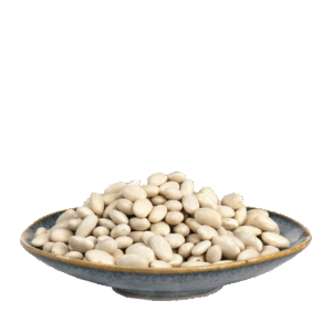 لوبیا سفید